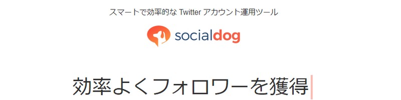 �uSocialDog�vTwitter�A�J�E���g�^�p�c�[���y�����ł����Ǝg����z���T�C�g